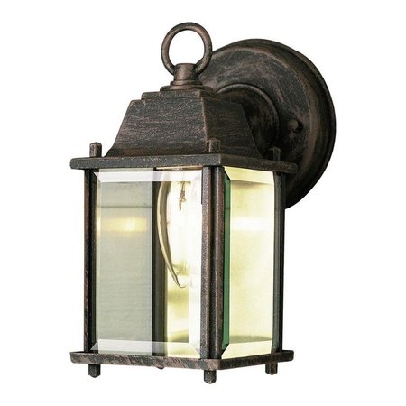 TRANS GLOBE One Light Black Gold Clear Beveled Glass Wall Lantern 40455 BG